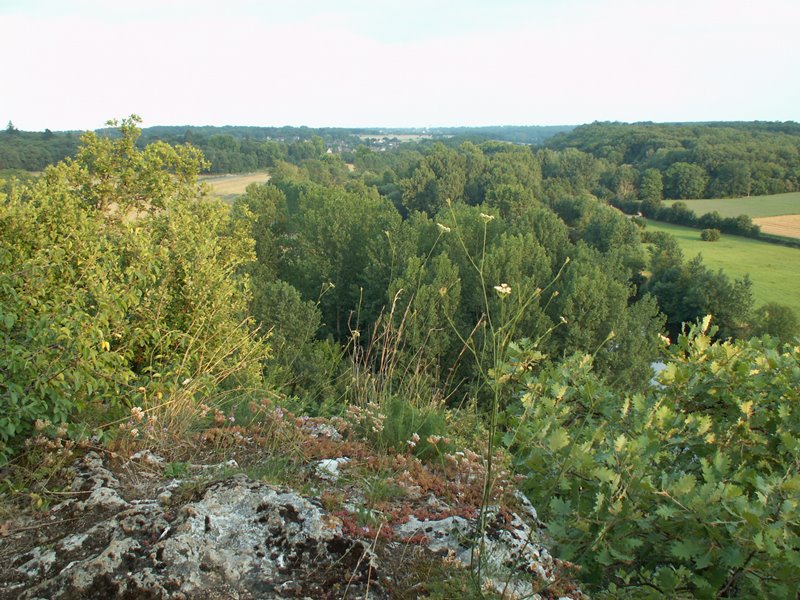 A la recherche du trésor d'Halloween au Bois des Roches