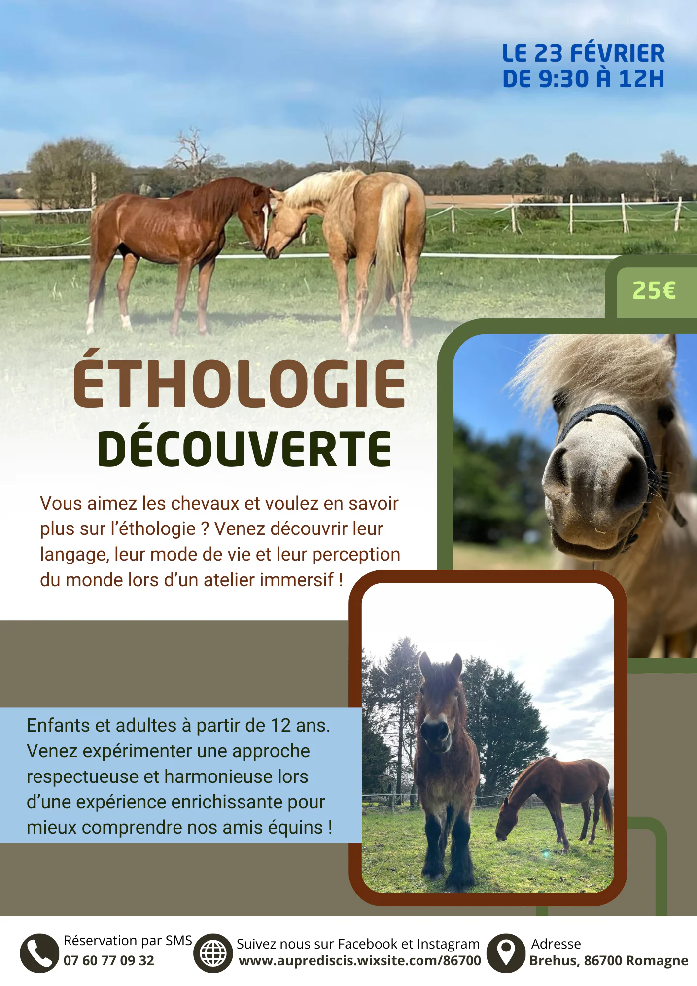 Ethologie Découverte