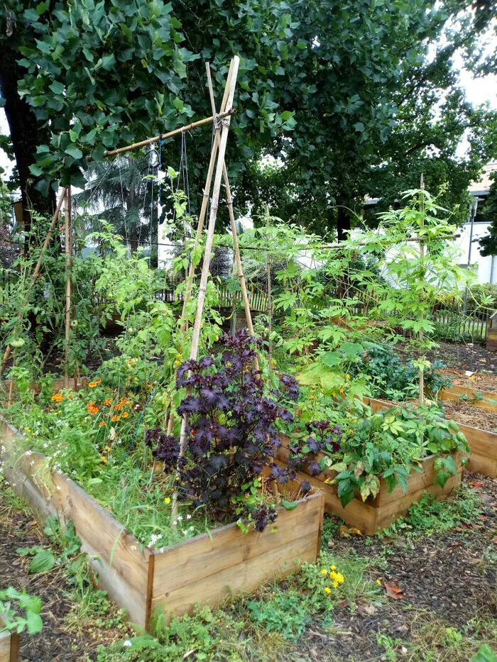 Chantier de lancement de saison au jardin de la rue Dullin Rue Charles Dullin