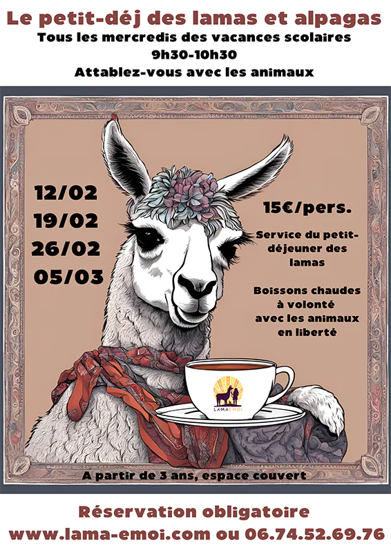 Le petit-déj des lamas et alpagas