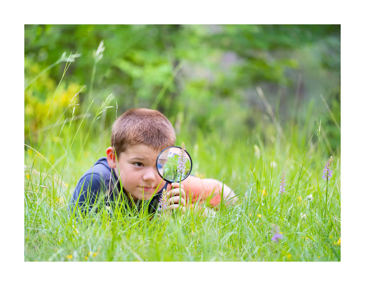 LES SORTIES NATURE LES PETITS AVENTURIERS