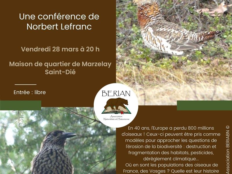 CONFÉRENCE OISEAUX DES VOSGES ET CHANGEMENTS GLOBAL