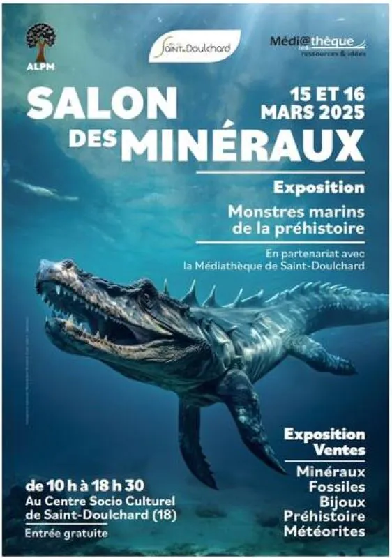 Salon des Minéraux