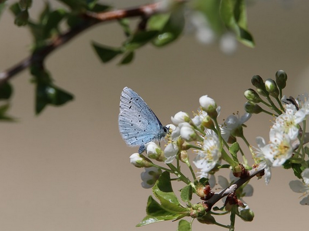 Atelier "Le carré pour la biodiversité en hiver"