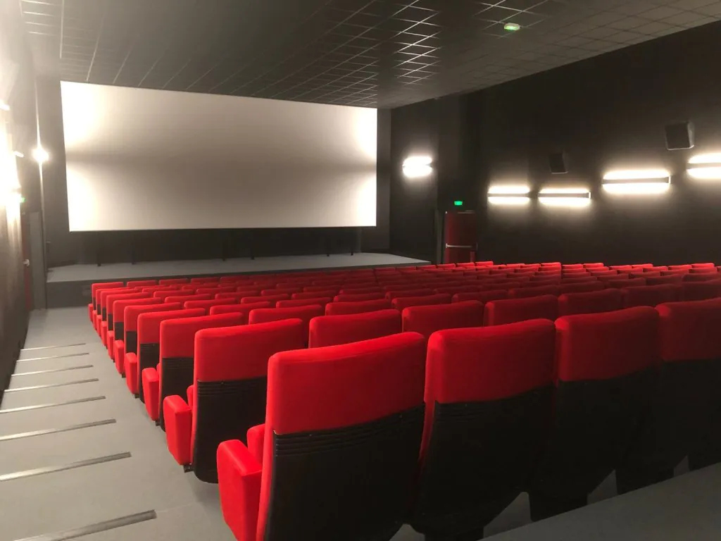 Séance ambassadeurs au cinéma Arévi