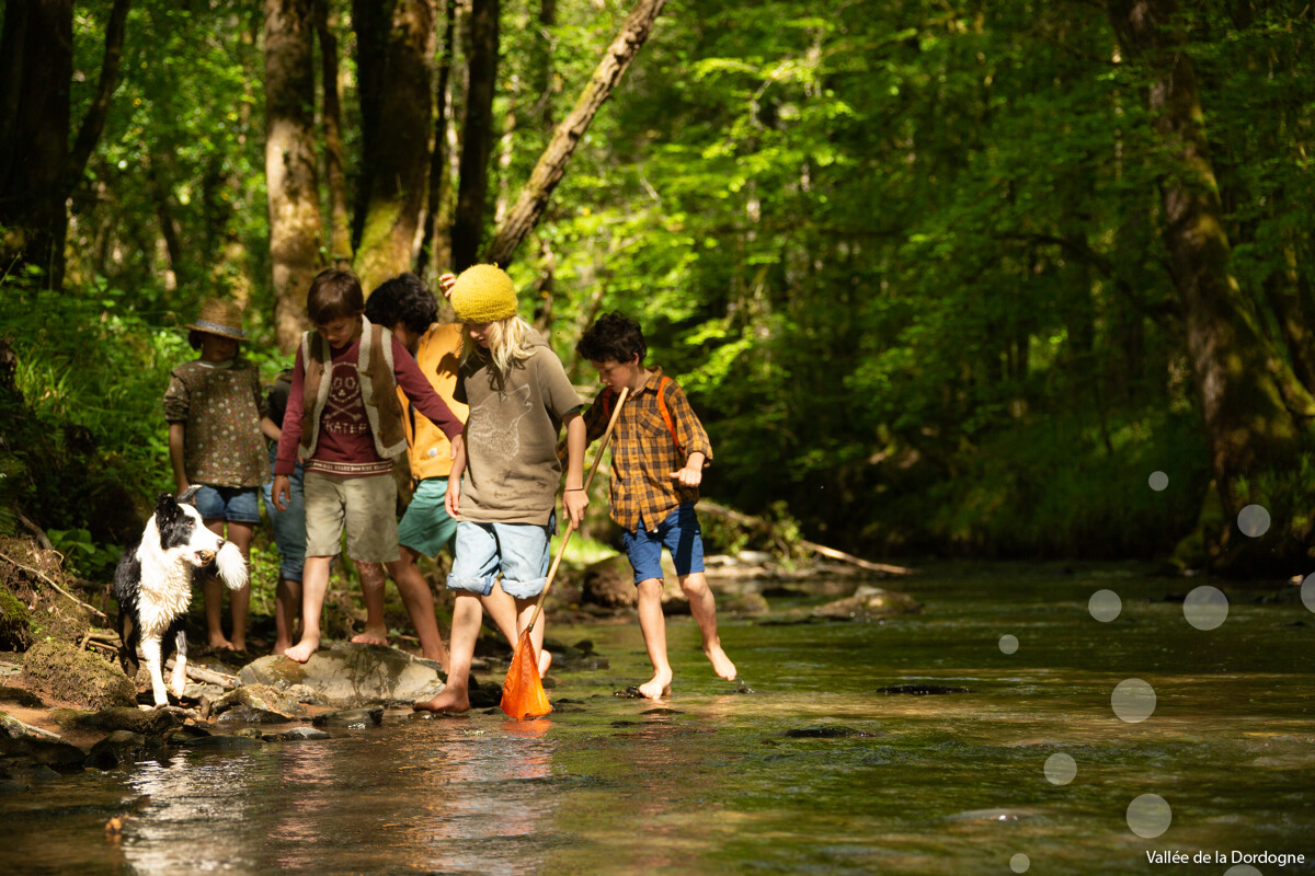 Balade-découverte continuités écologiques et moules perlières sur le ruisseau de la Ressègue