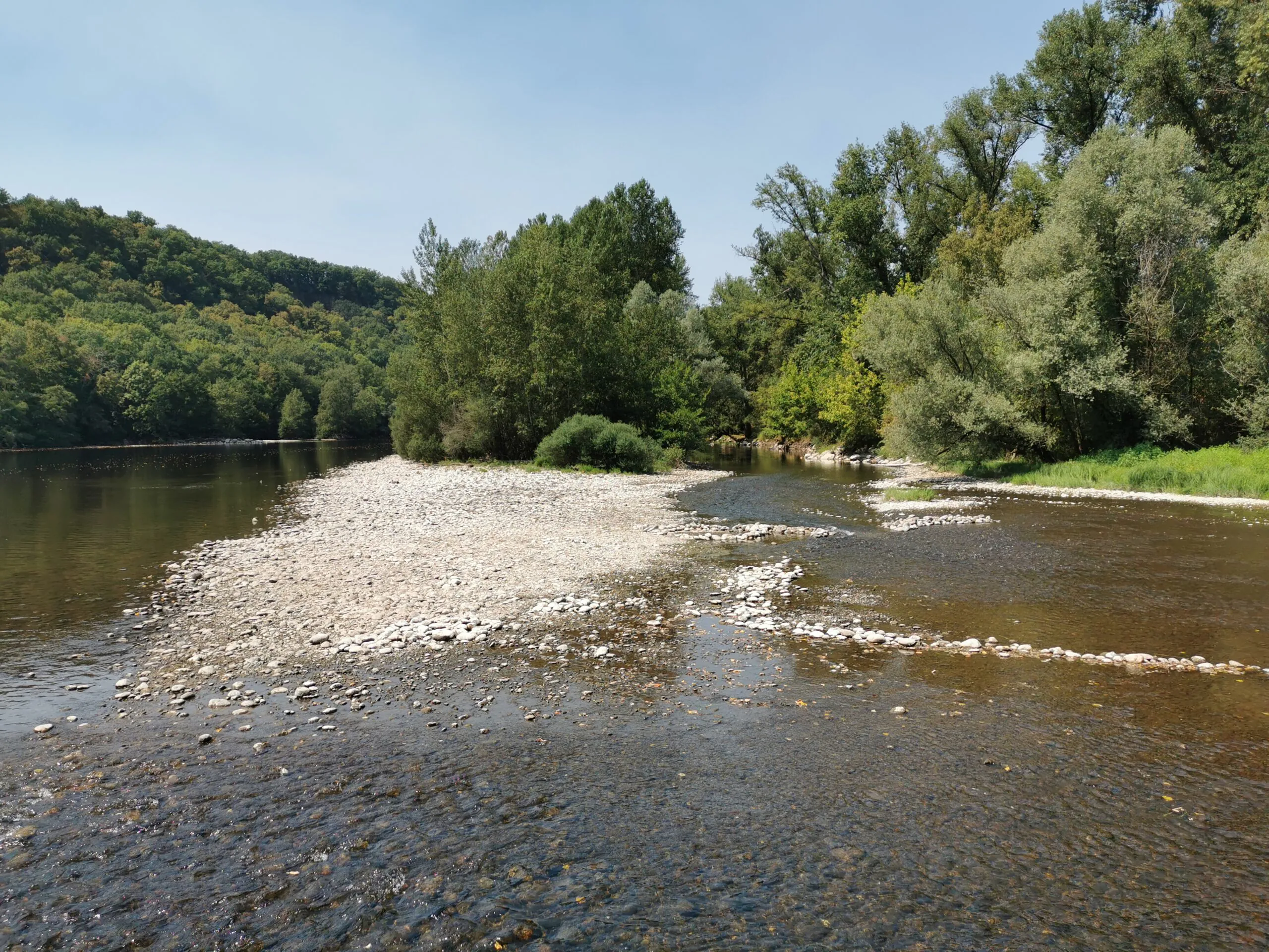 Conférence "La faune et la flore des forêts riveraines de la Dordogne "