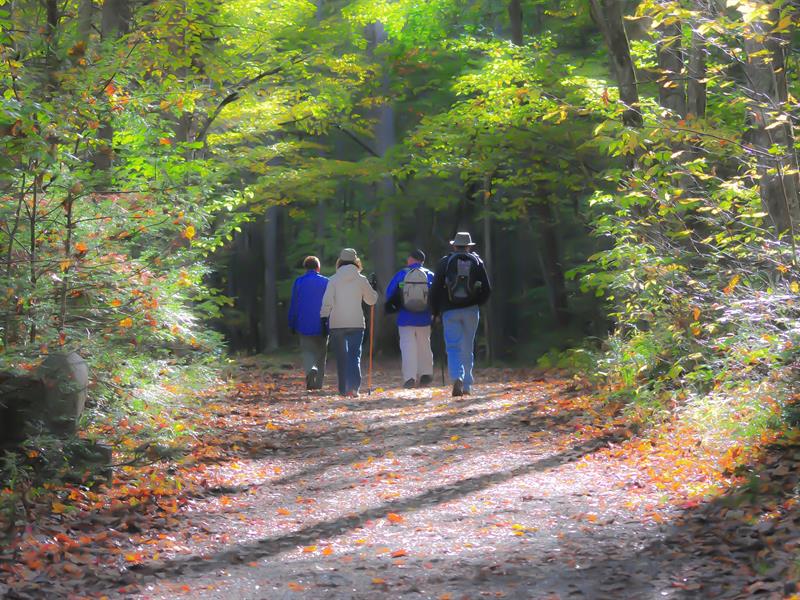 Sortie avec le Club Vosgien du Kochersberg  Sur les hauteurs de Lembach