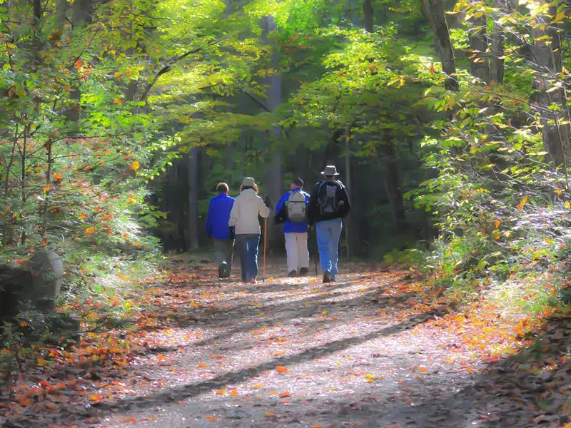 Sortie avec le Club Vosgien du Kochersberg  Sur les hauteurs de Lembach