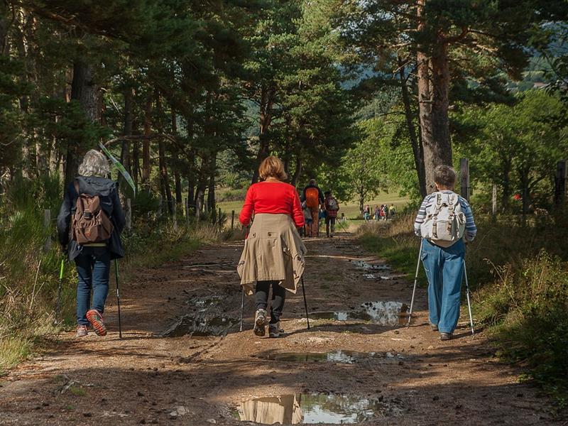 Sortie avec le Club Vosgien du Kochersberg  Le Sentier des Géants