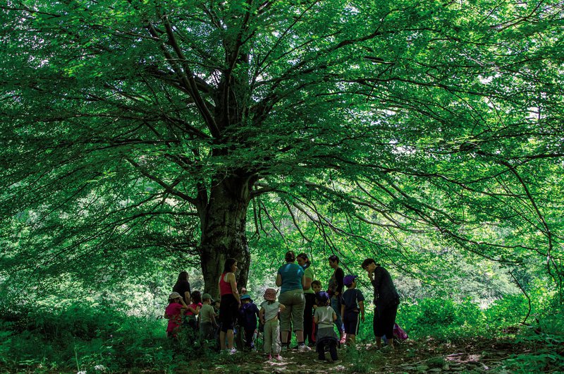 LA FORÊT VIVANTE DE VENTALON