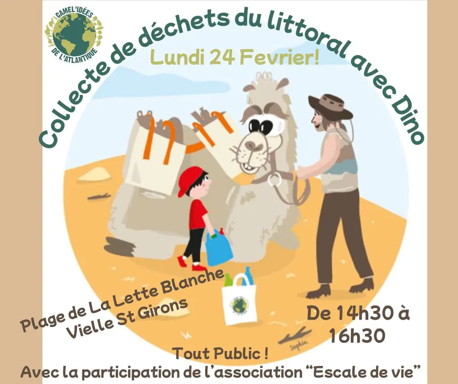 Collecte de déchets du littoral avec Dino