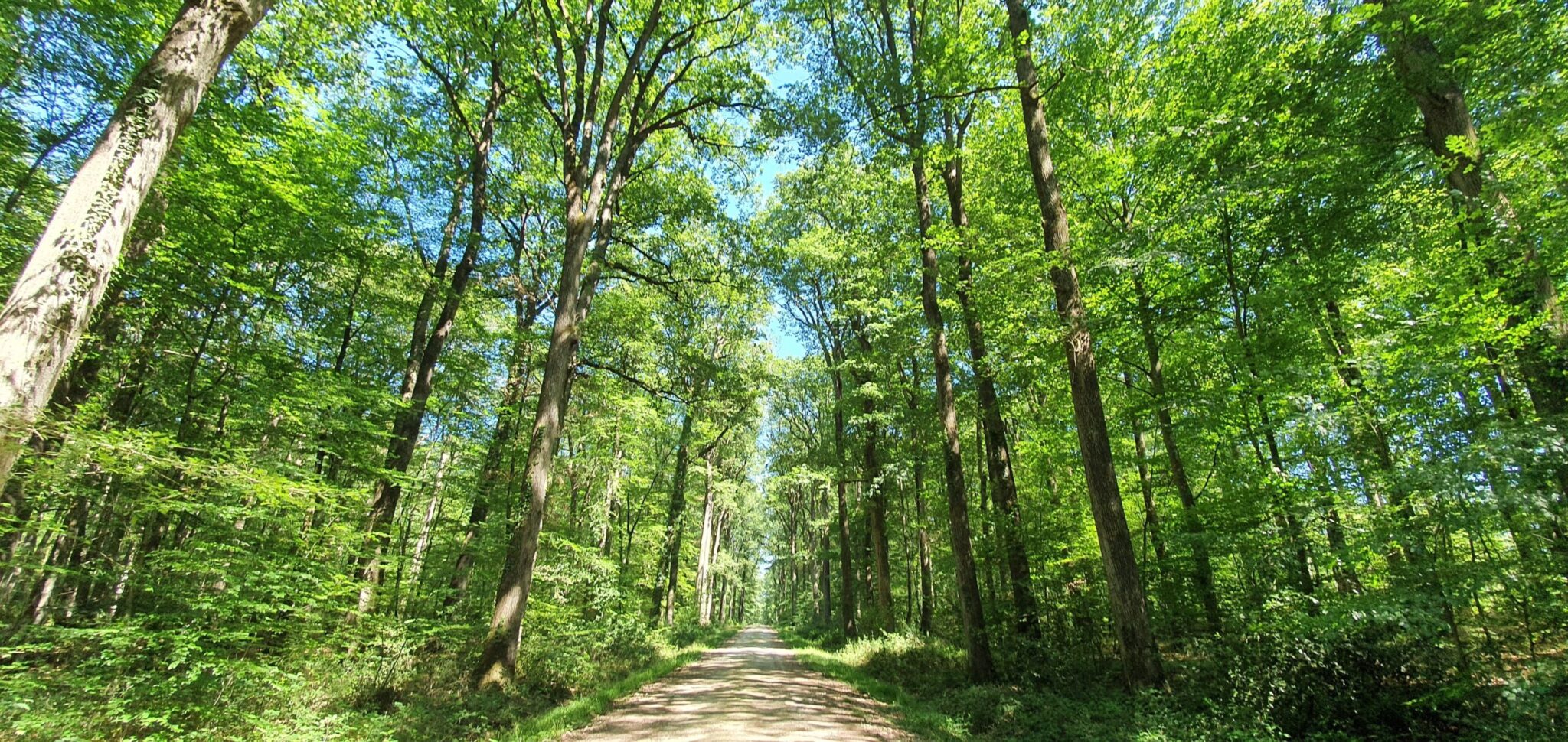 En selle pour Montrésor Montrésor Centre-Val de Loire