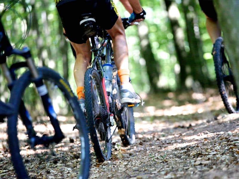 Circuit VTT des Massifs du Wintersberg et du Wasenkoepfel Niederbronn-les-Bains Grand Est