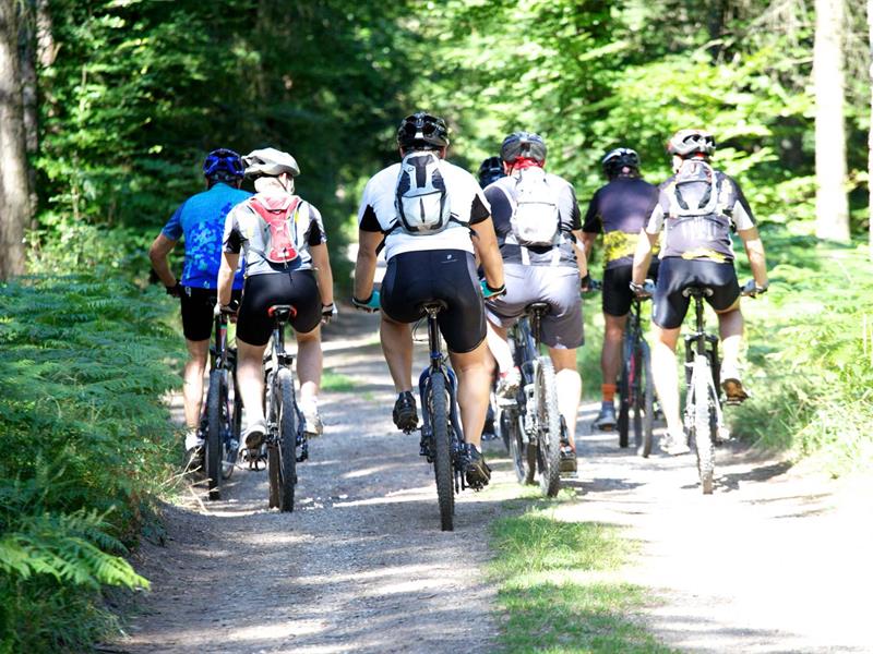 Circuit VTT du Frohret Oberbronn Grand Est Circuit VTT du Frohret Oberbronn Grand Est