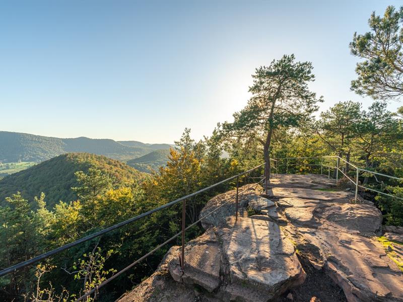 Grande traversée pédestre des Vosges au fil des GR Wissembourg Grand Est