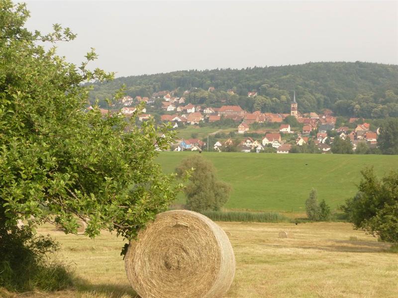 Circuit de promenade le Sonnenberg Oberbronn Grand Est