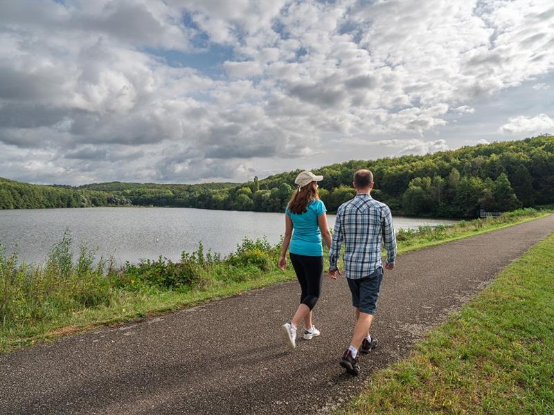 Circuit de marche nordique du plan d'eau vers Nehwiller Reichshoffen Grand Est