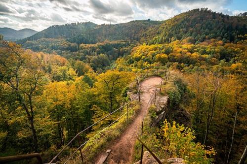 Sentier autour du Wasigenstein Niedersteinbach Grand Est