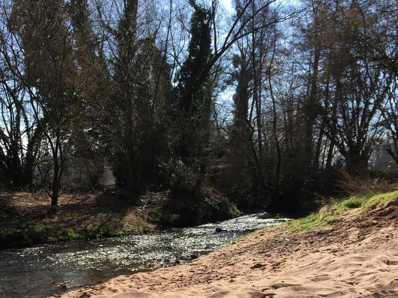Circuit de randonnée des Lignes de la Lauter à Schleithal Wissembourg Grand Est