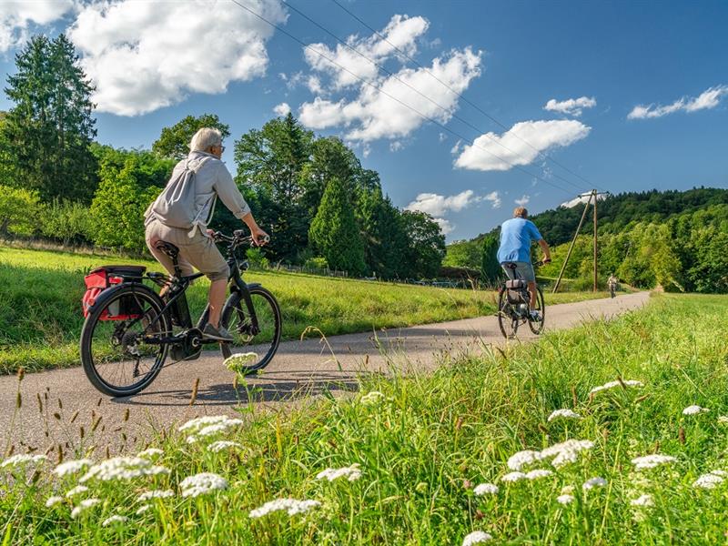 Circuit VTT enduro court Wissembourg Grand Est