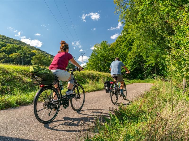 Circuit VTT enduro difficile Wissembourg Grand Est