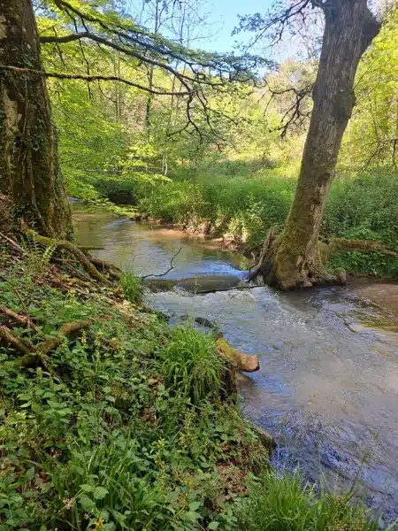 Randonnée Les 3 bras du Jaoul La Capelle-Bleys Occitanie