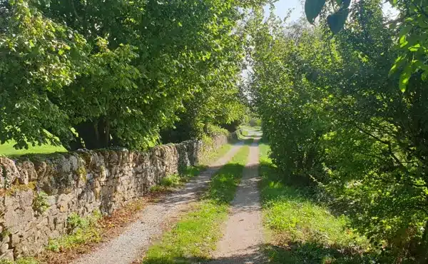 Trail Descente Chrono Mur de la Loubière Versols-et-Lapeyre Occitanie