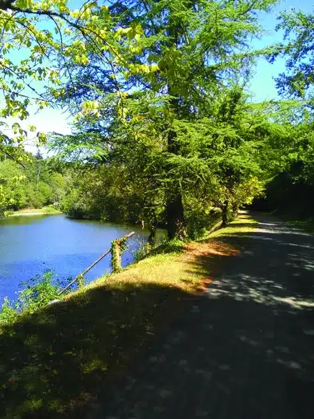 Plan d'eau Brasc Occitanie