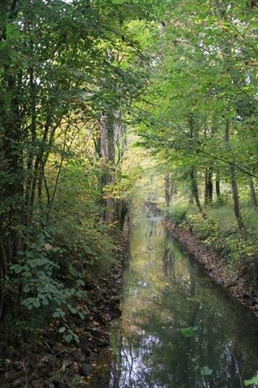 Belle balade de La Francheville à St Marceau Bord de Vence La Francheville Grand Est