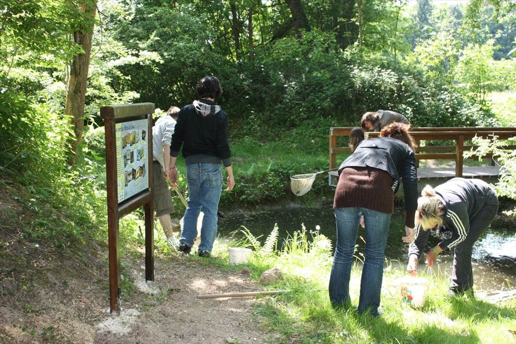 Traces de la vie sauvage