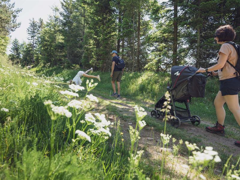 Circuit poussette Lac Blanc Les Immerlins Orbey Grand Est