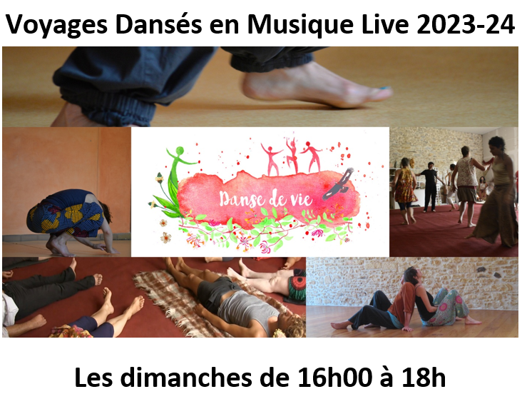 Danse de vie voyage dansé en musique live