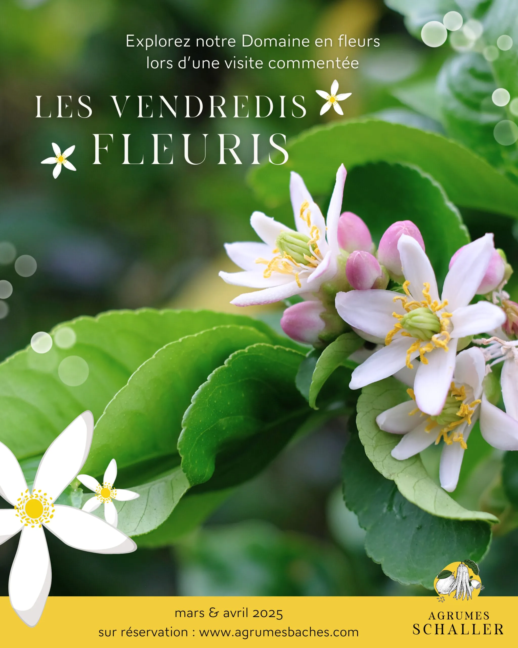 LES VENDREDIS FLEURIS