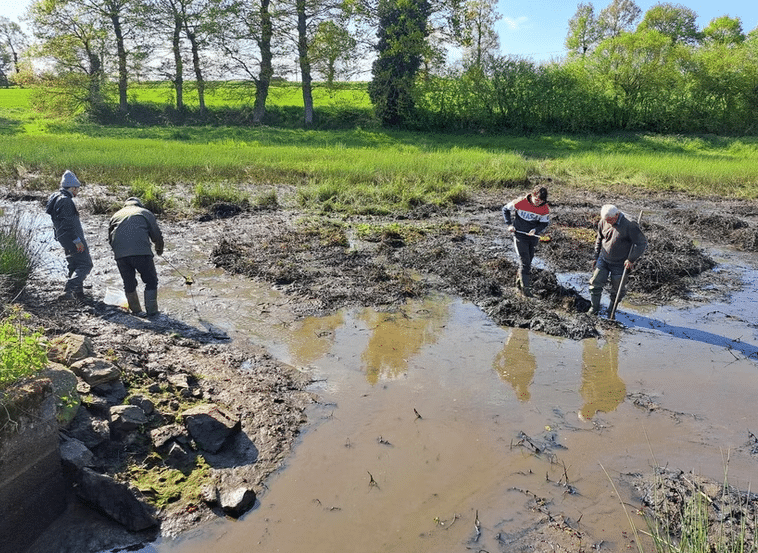Festival de la biodiversité