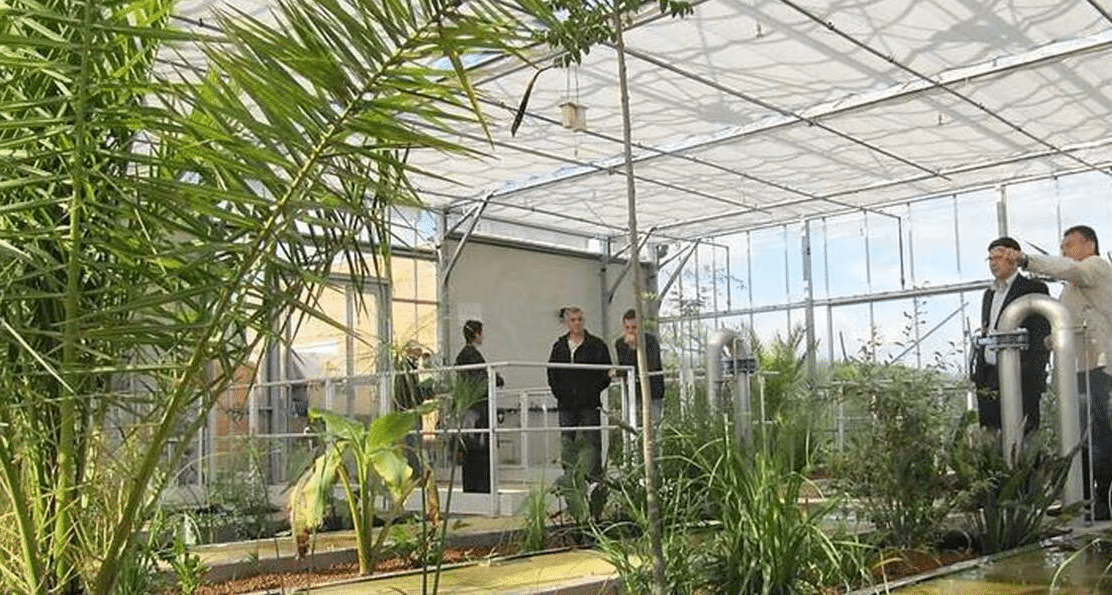 Festival de la biodiversité