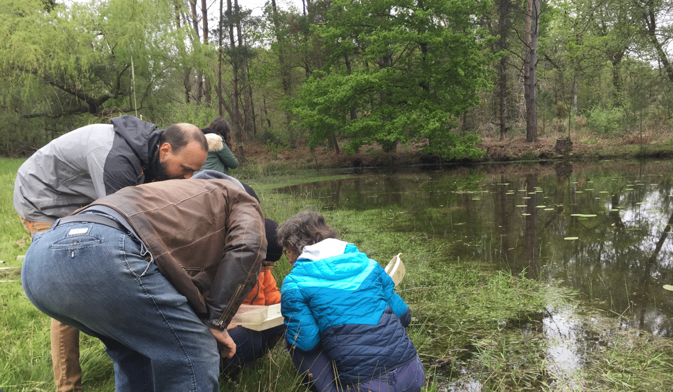 Festival de la Biodiversité
