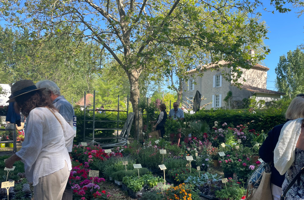 Fête des fleurs