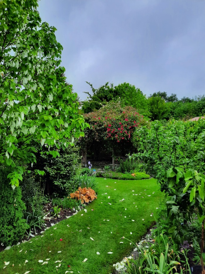 Visite du jardin Marguerite Jardin Marguerite Linxe