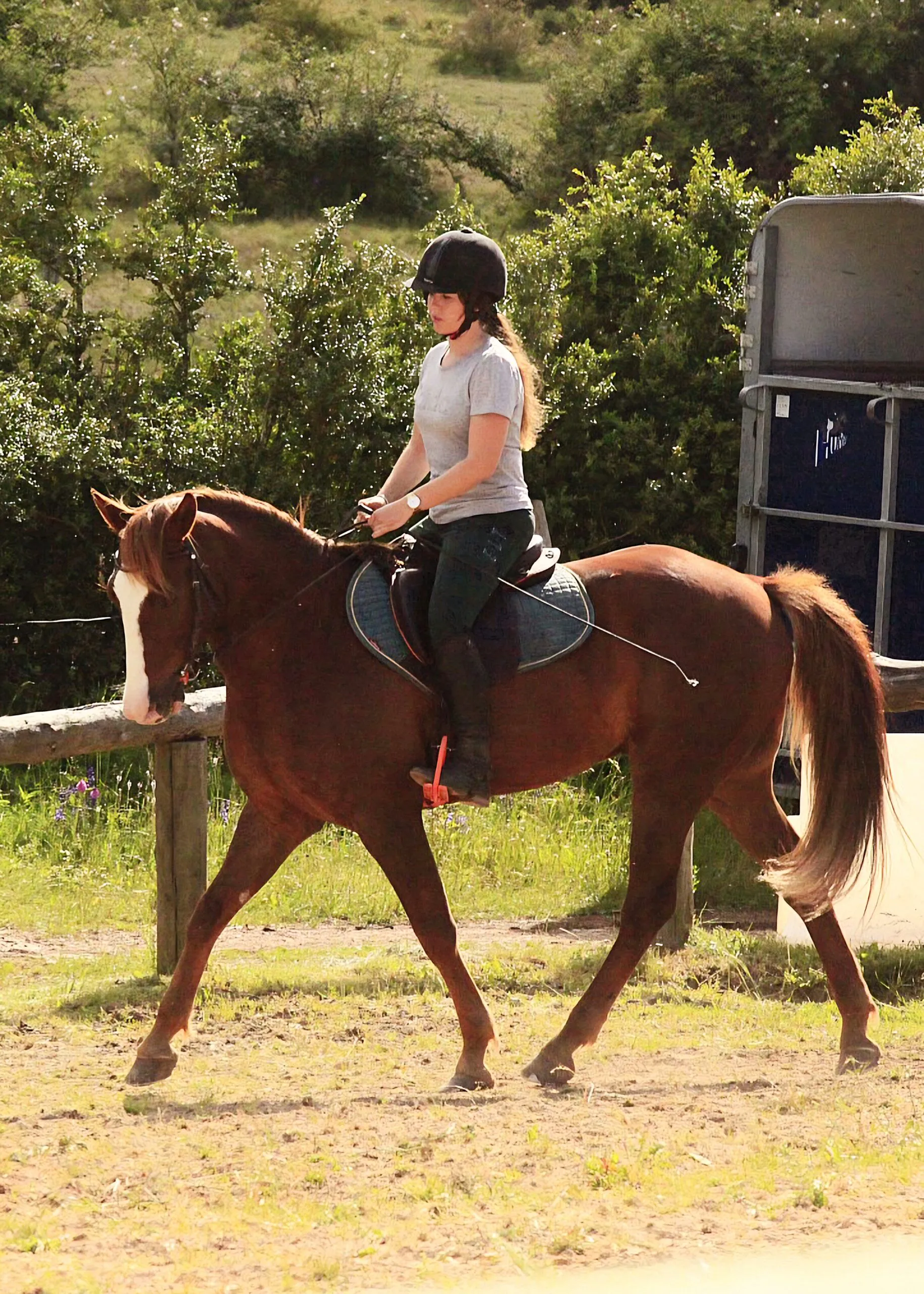 STAGE D'ÉQUITATION "ÉCOLE DE LÉGERETÉ"