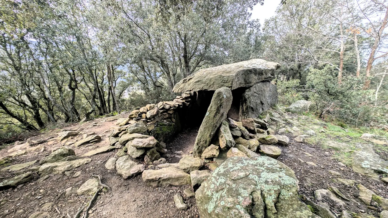 RANDONNEE "DOLMEN LA BALMA DEL MORO"