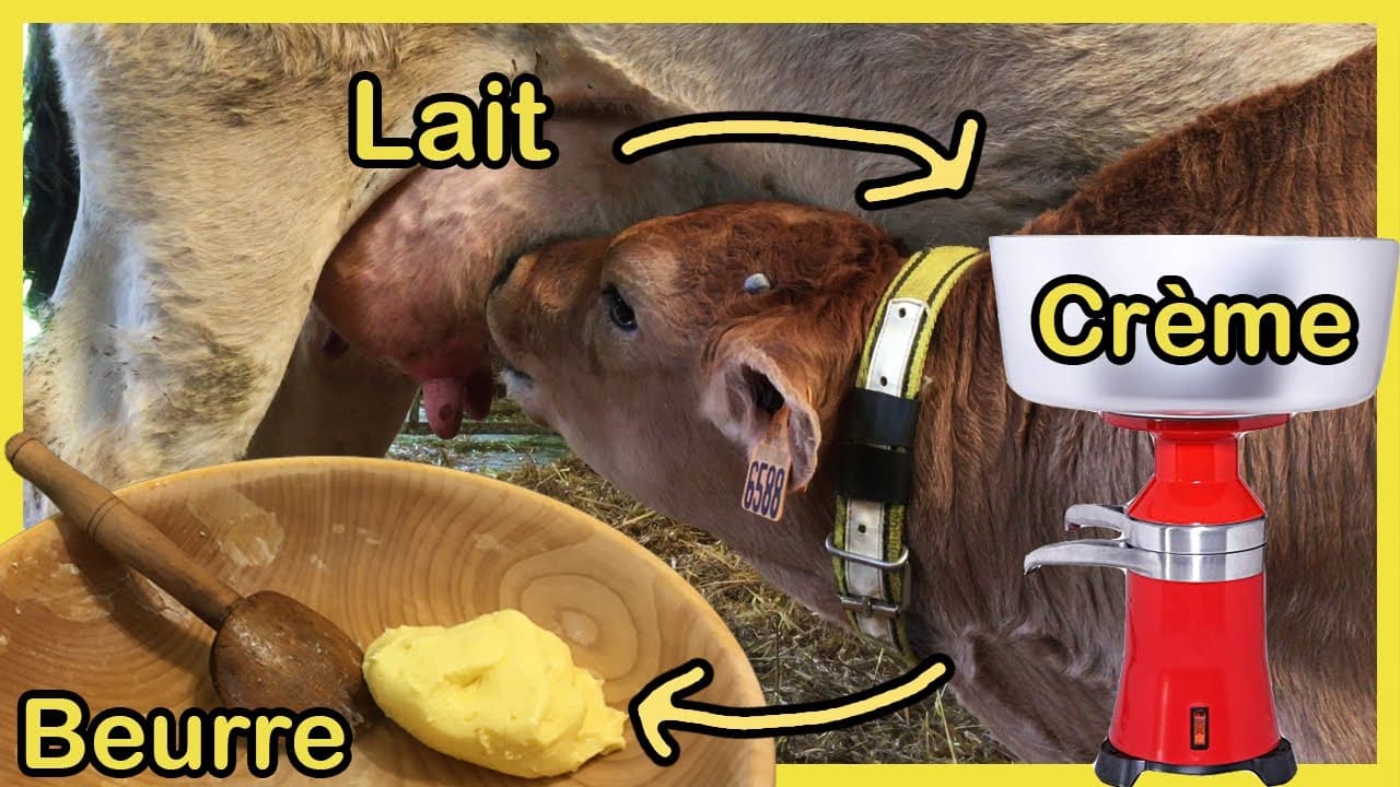 meilleur beurre