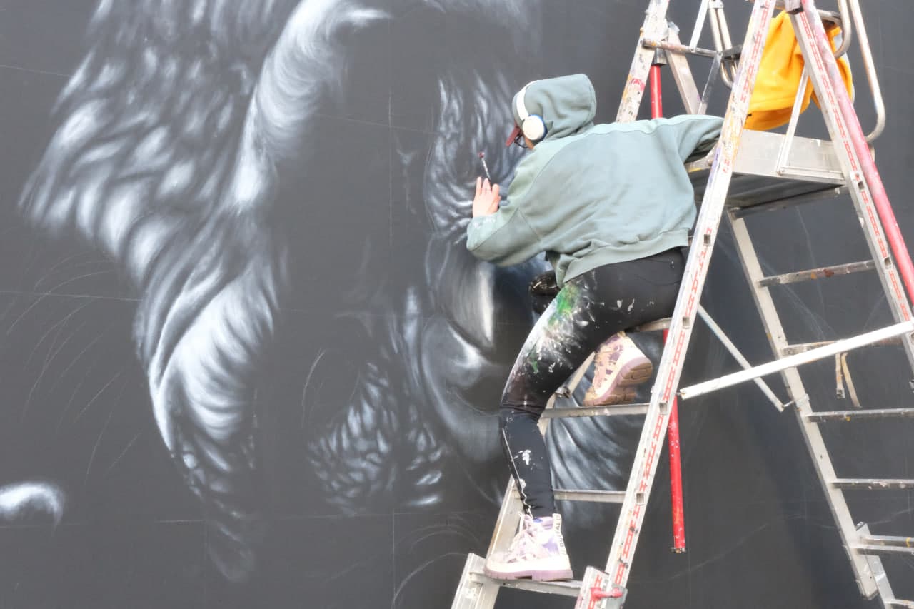 melissa follet mur de rennes