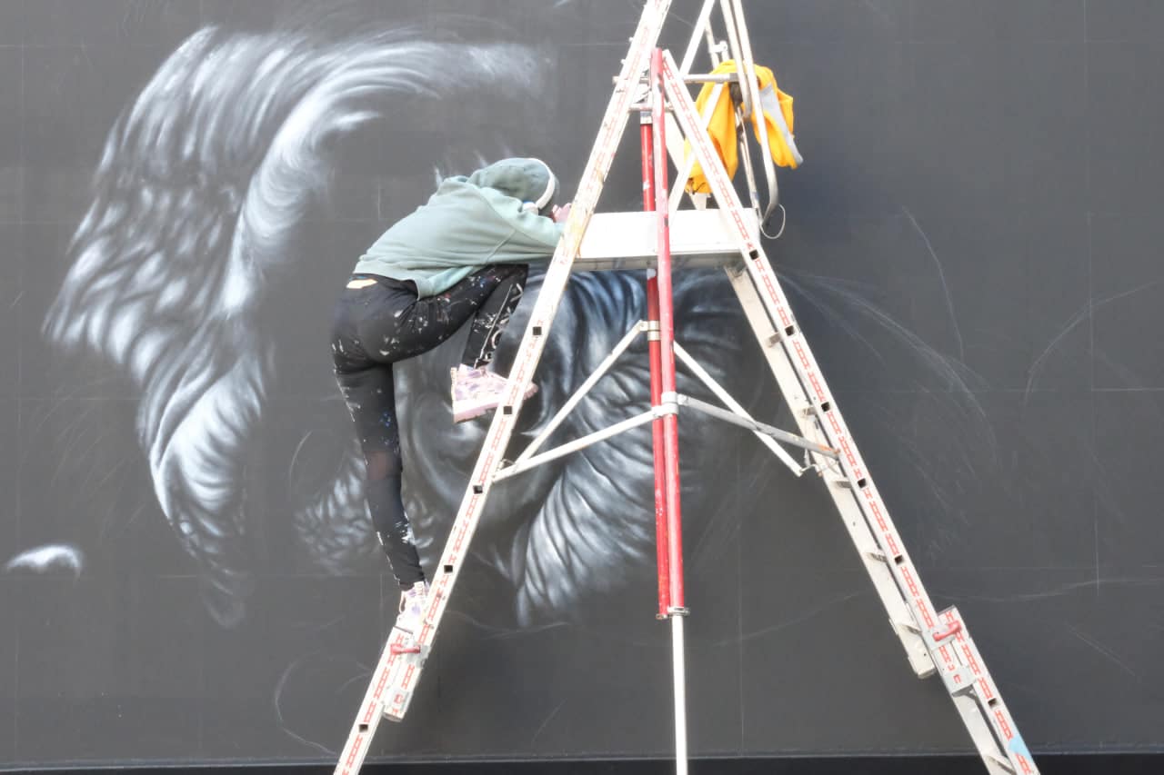 melissa follet mur de rennes