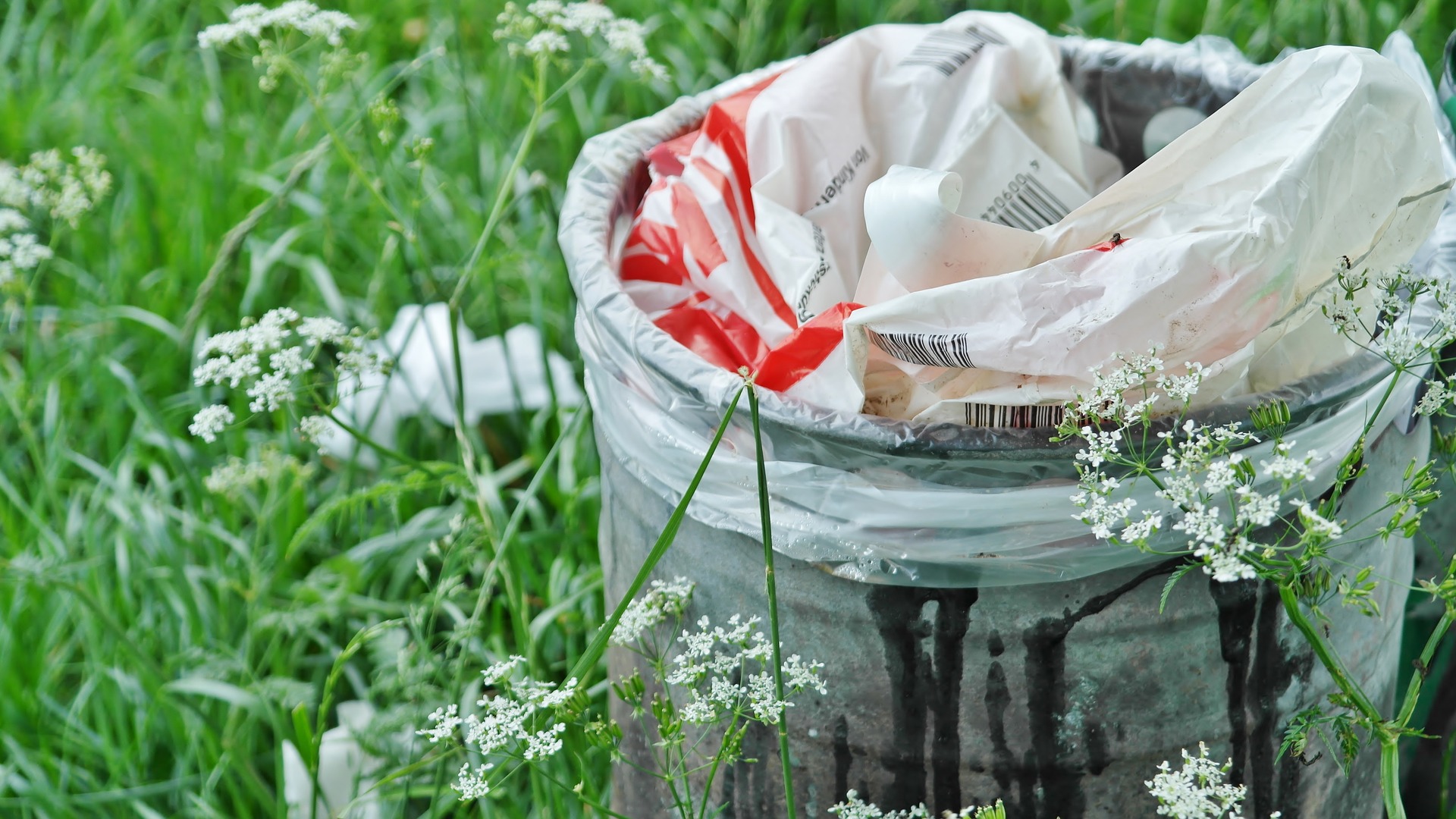 J'aime la Nature propre Chasse aux déchets