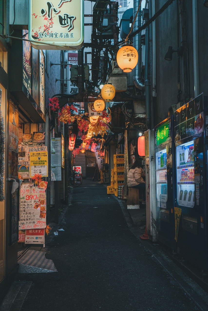 Soirée mobilité internationale Japon