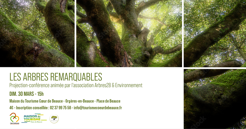 Projection-conférence Les arbres remarquables