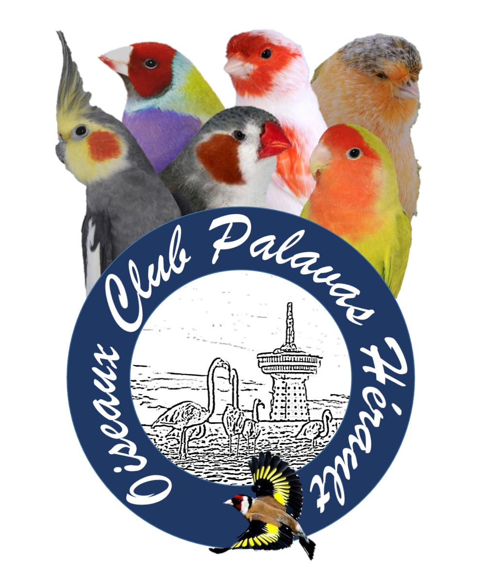 CONCOURS INTERNATIONAL DE L'OISEAU CLUB PALAVAS HÉRAULT