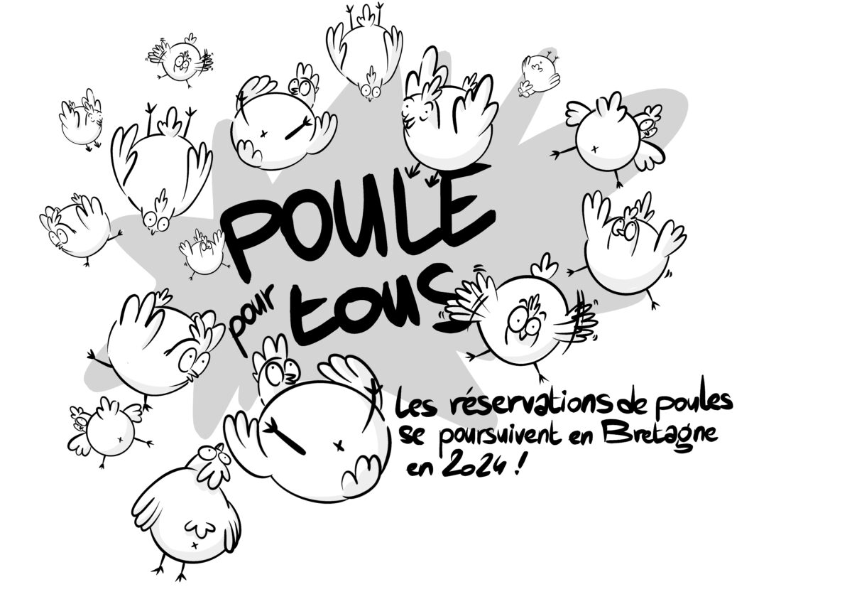 poule pour tous