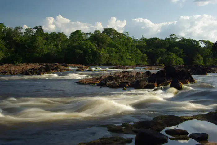 L'AMAZONIE